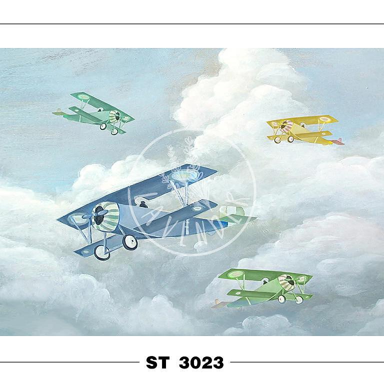 ST 3023
