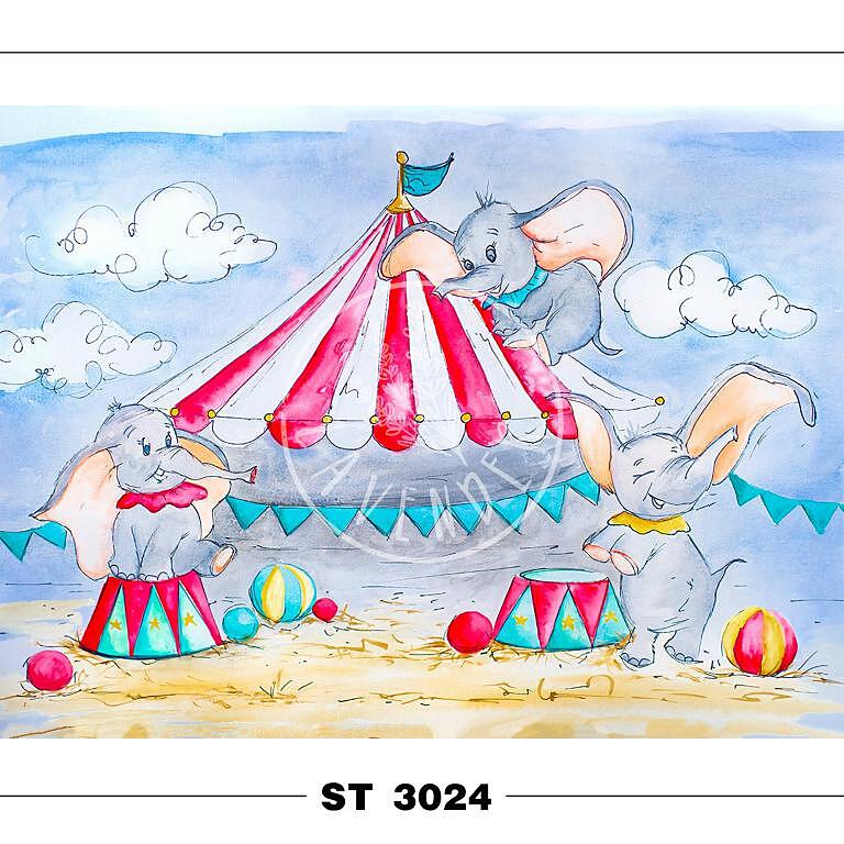 ST 3024