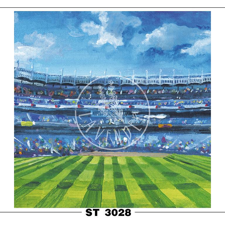 ST 3028