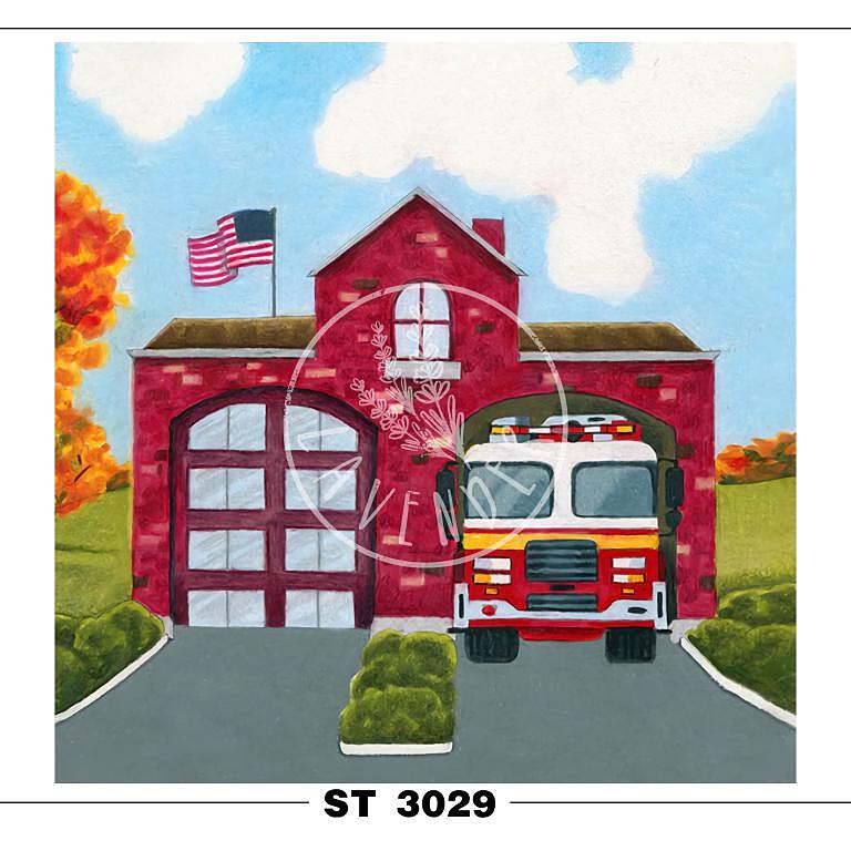ST 3029