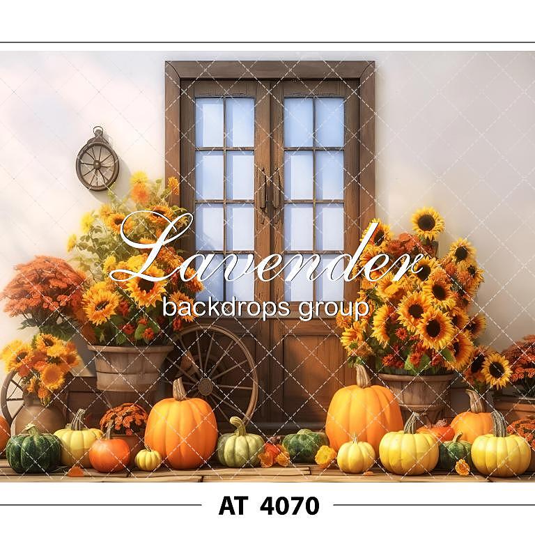 AT 4070