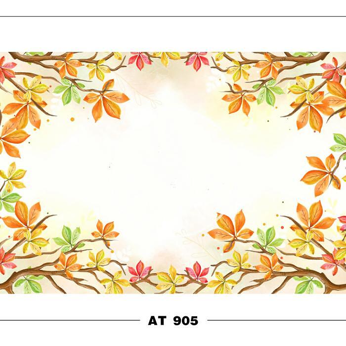 AT 905