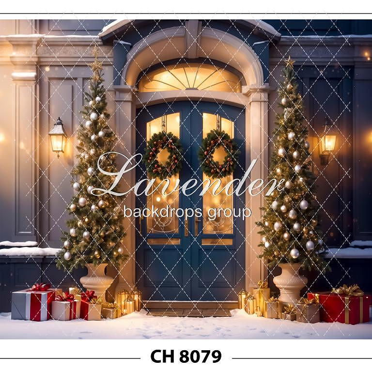 CH 8079