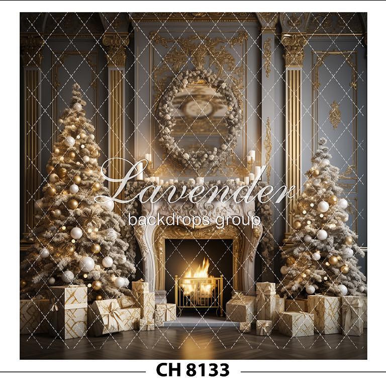 CH 8133