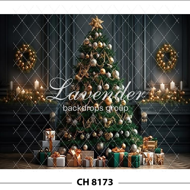 CH 8173