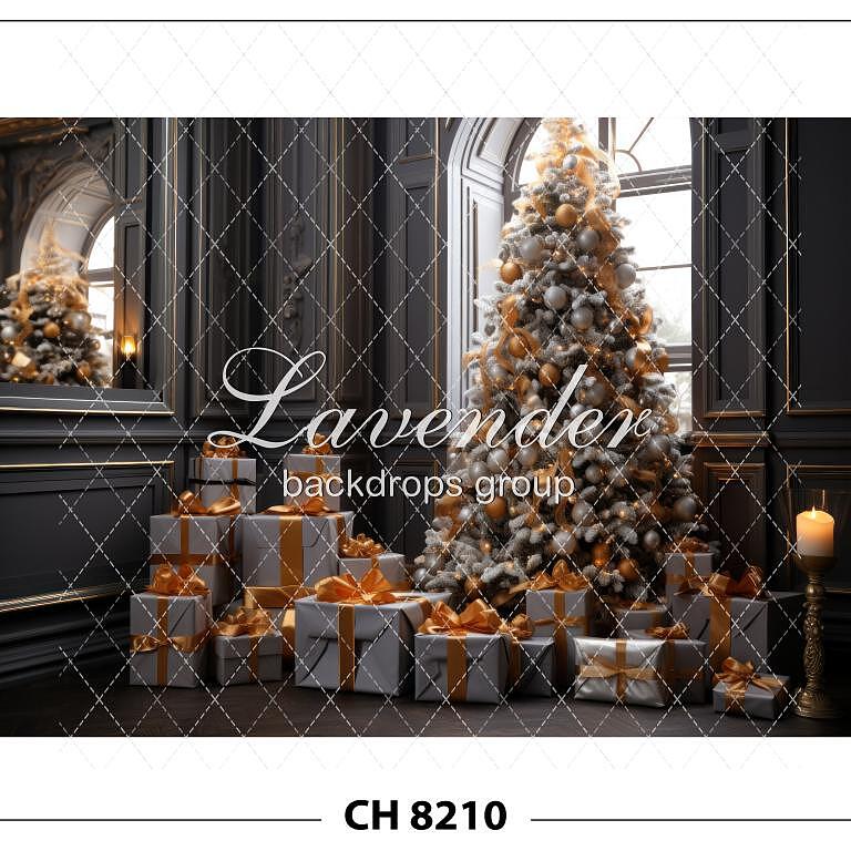 CH 8210