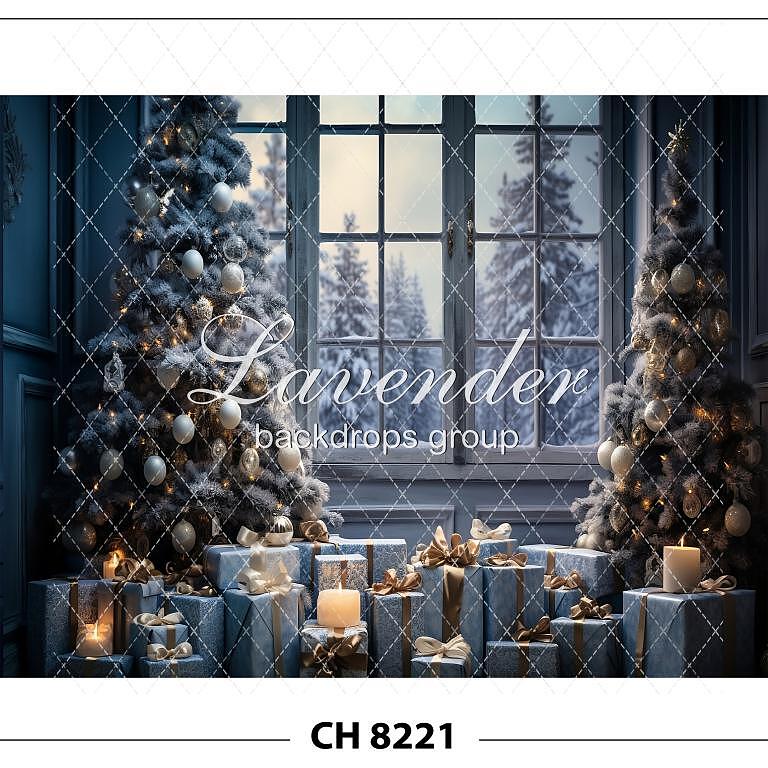 CH 8221