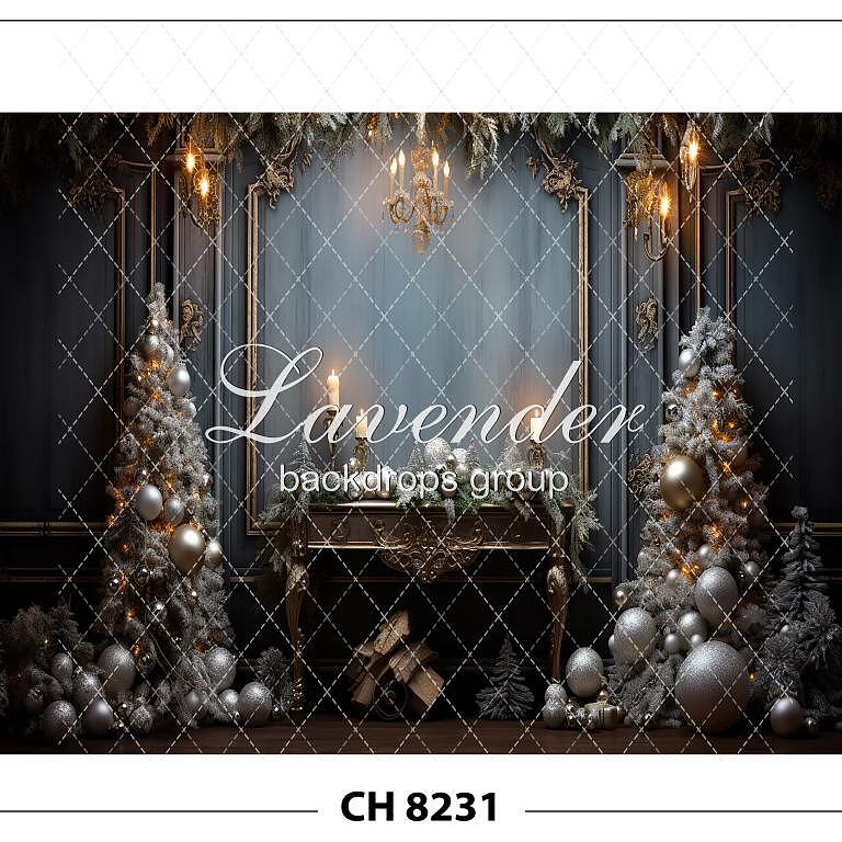 CH 8231