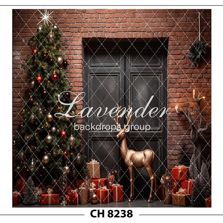 CH 8238