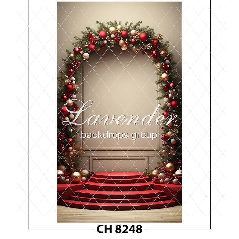 CH 8248
