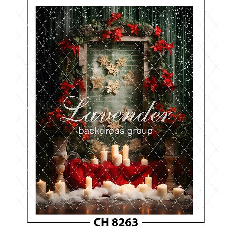 CH 8263