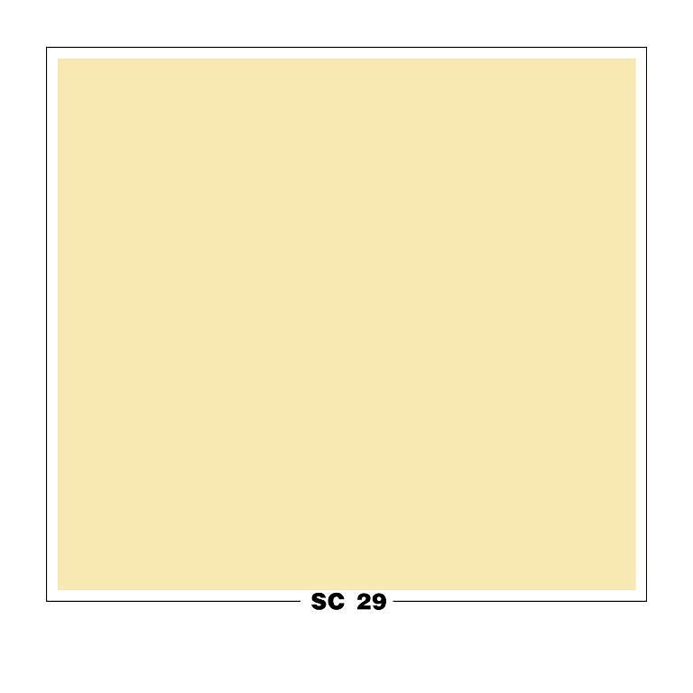 SC 29