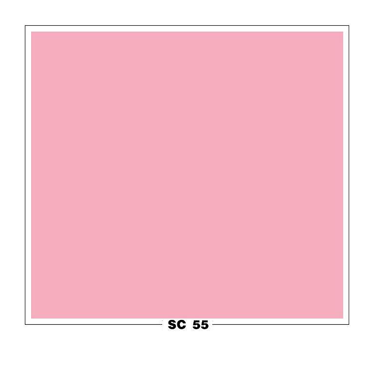 SC 55