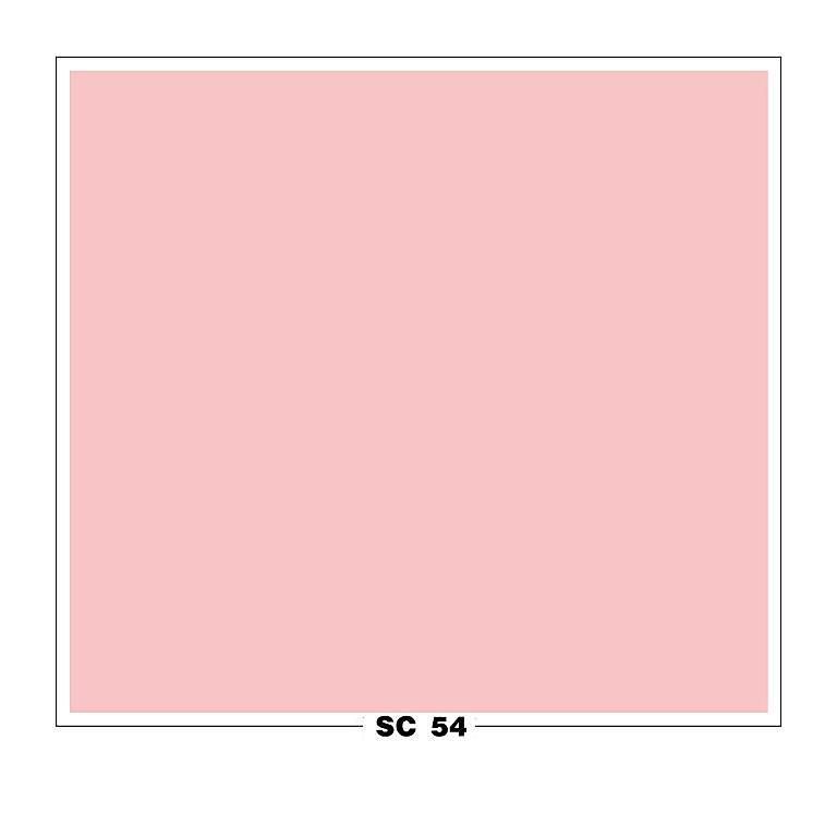SC 54