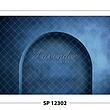 SP 12302