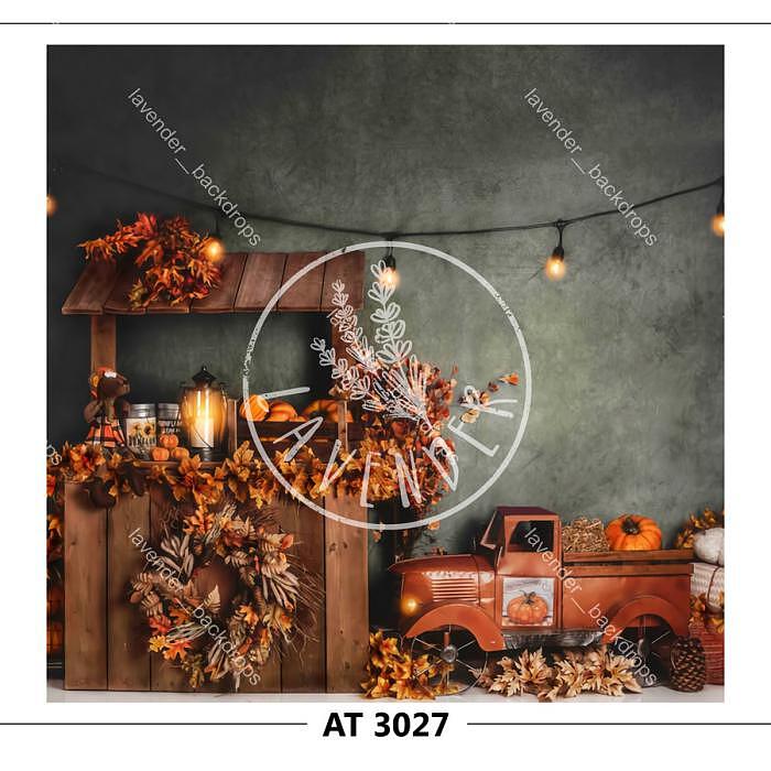 AT 3027