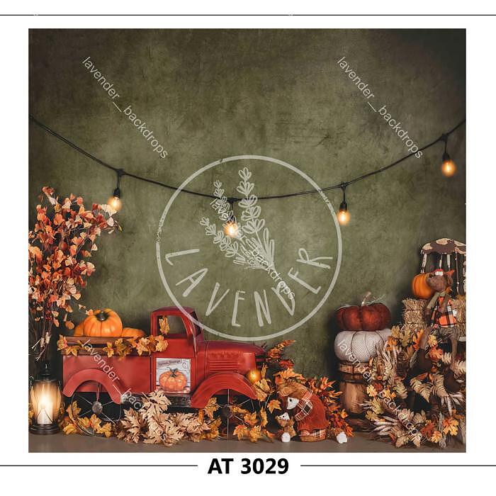 AT 3029