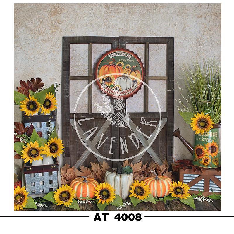 AT 4008