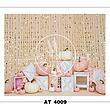 AT 4009