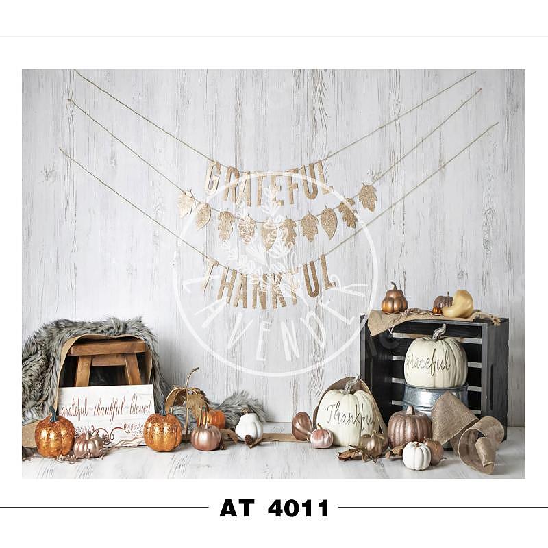 AT 4011
