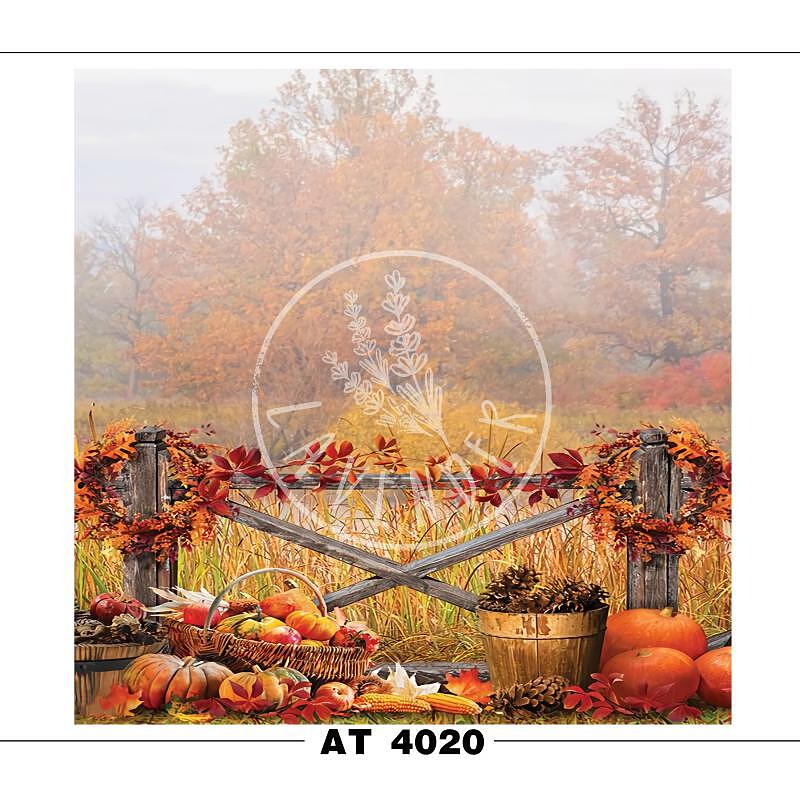 AT 4020