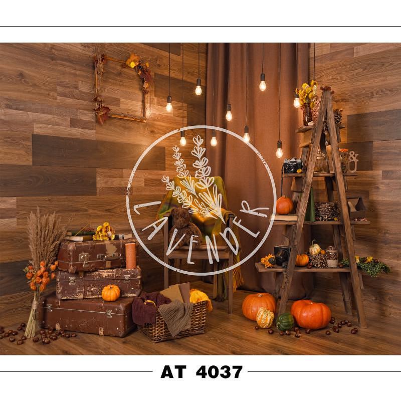 AT 4037