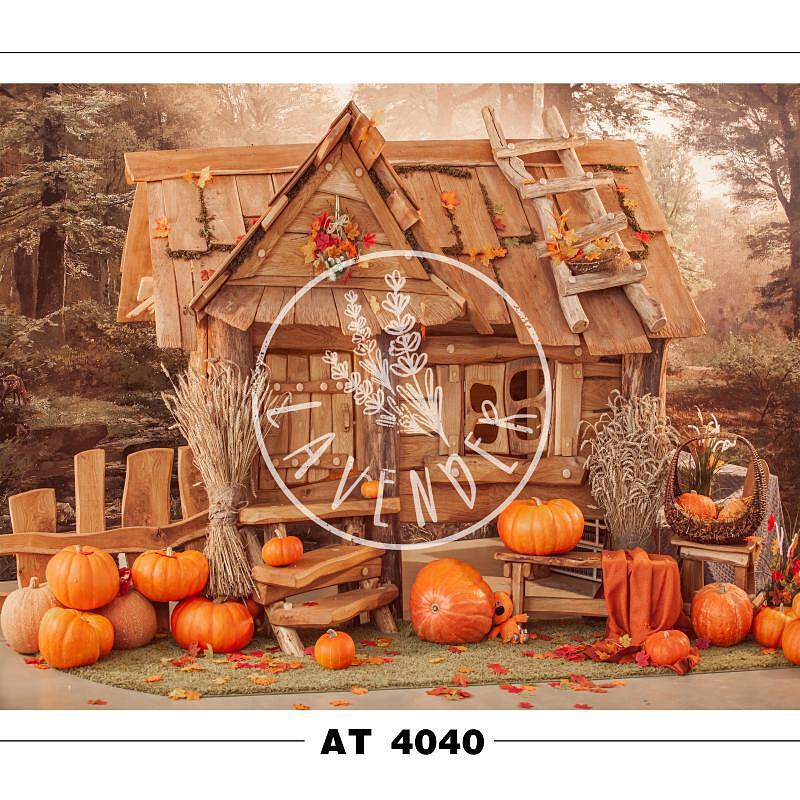 AT 4040