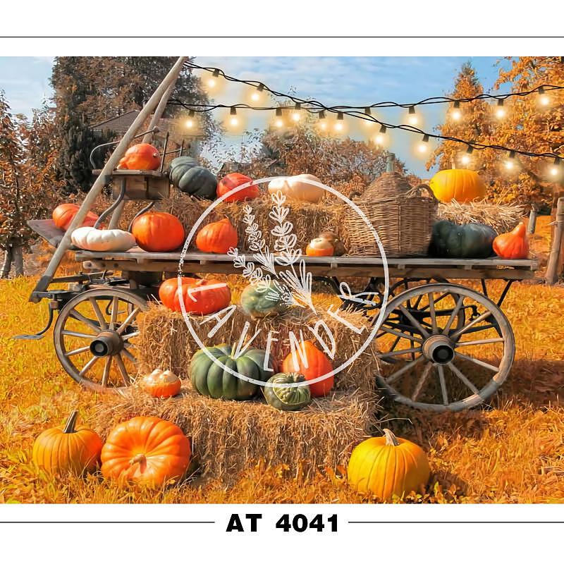 AT 4041
