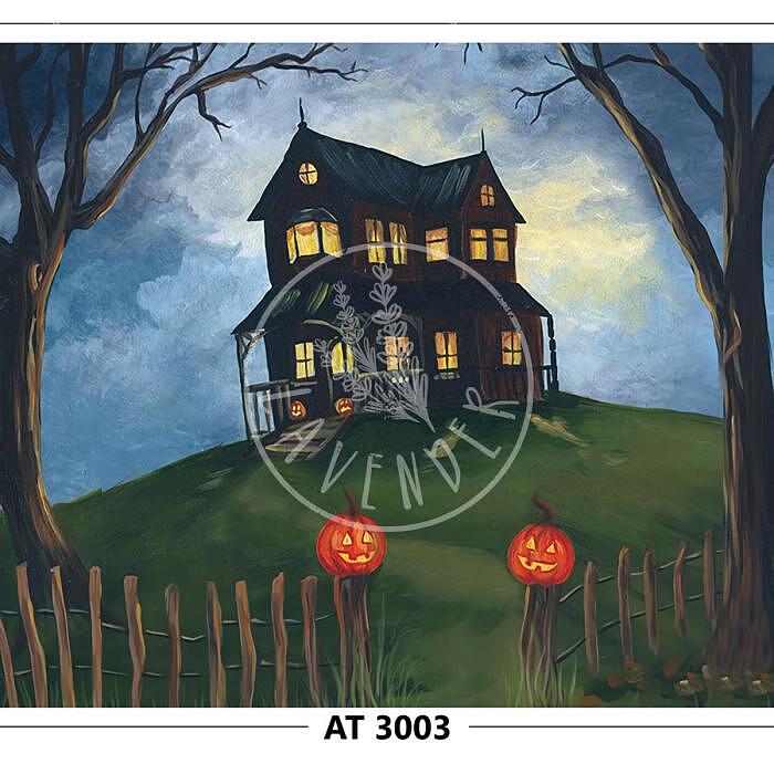AT 3003