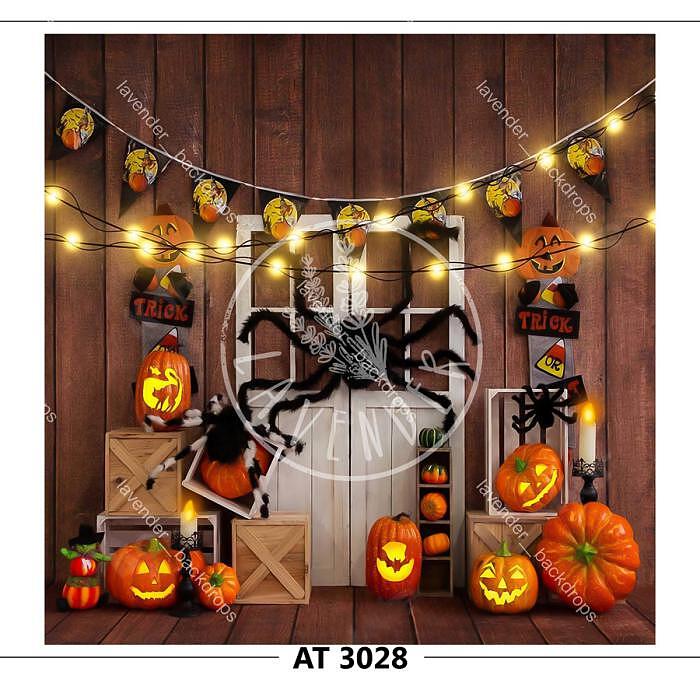 AT 3028