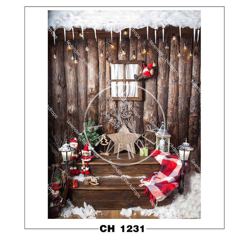 CH 1231
