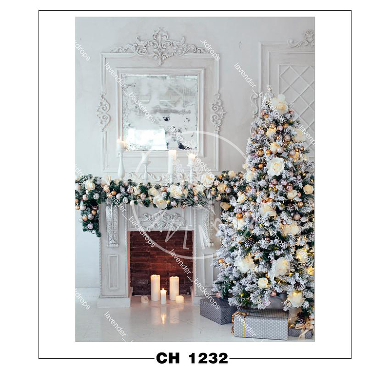 CH 1232