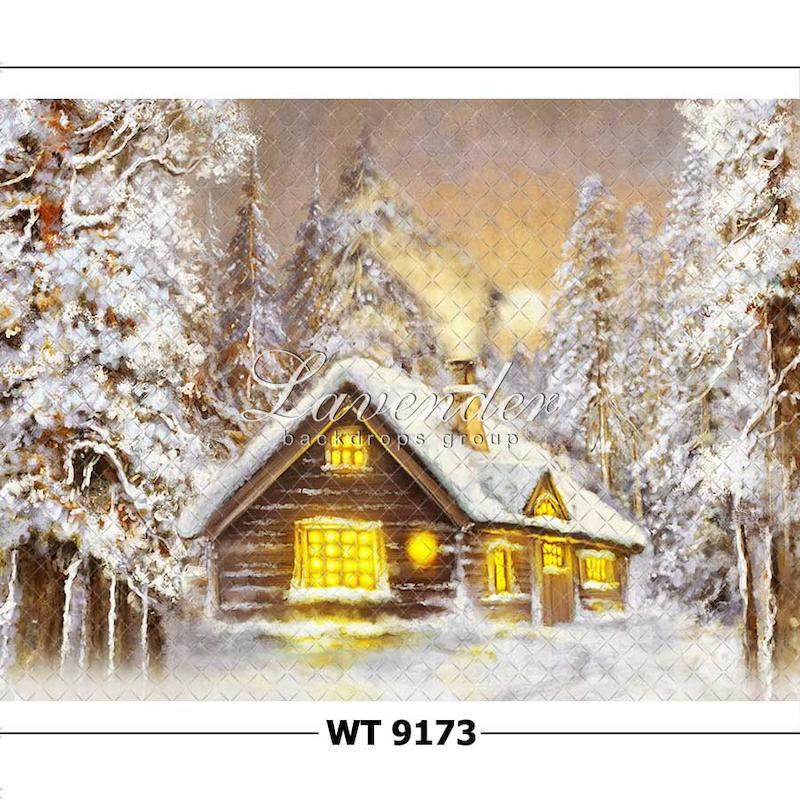 WT 9172