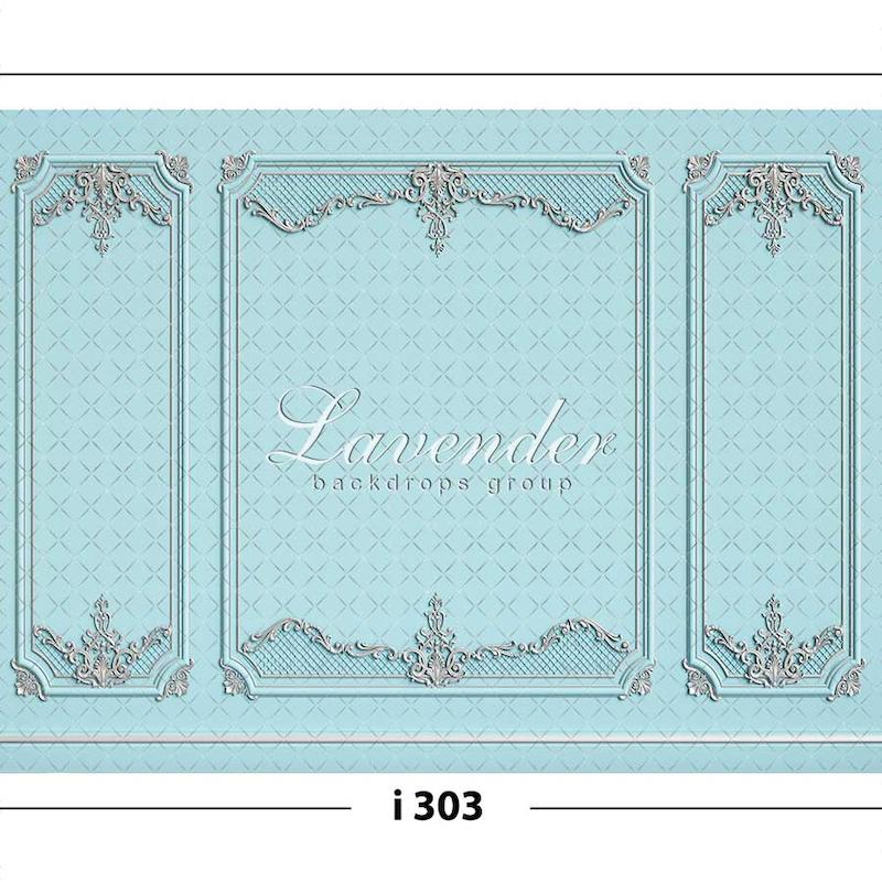 i 303