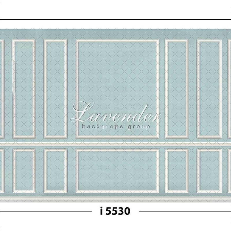 i 5530