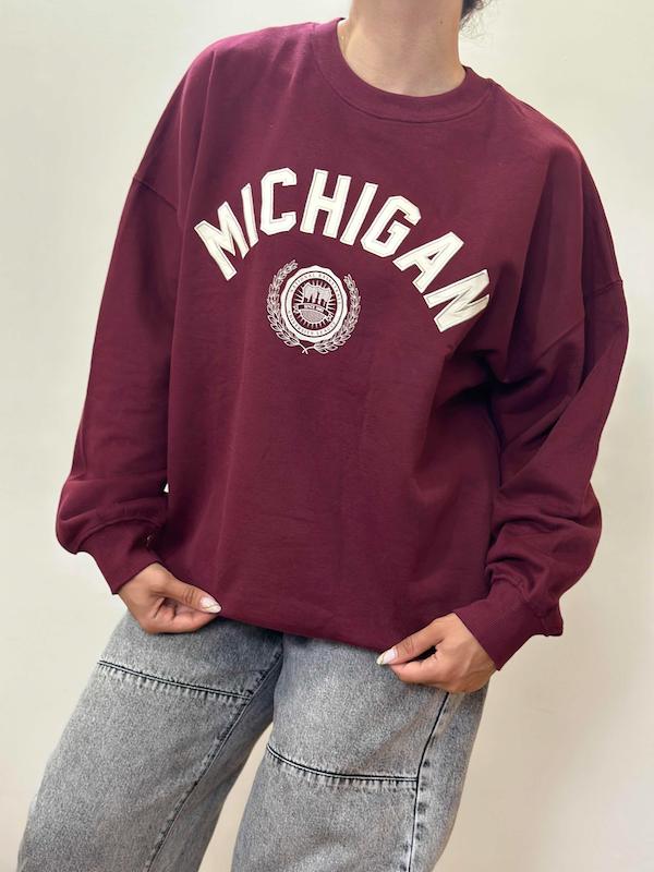 دورس میشیگان