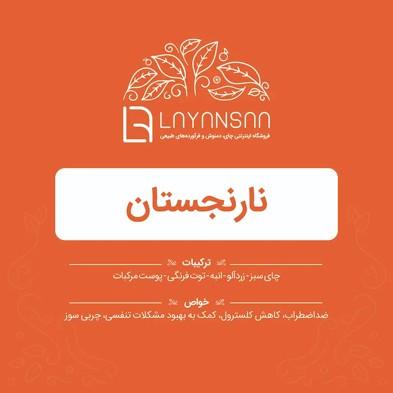 خرید دمنوش نارنجستان با چای سبز و میوه‌های خشک,دمنوش انرژی‌بخش نارنجستان با زردآلو، انبه و توت فرنگی,طرز تهیه دمنوش نارنجستان خوش‌عطر و آنتی‌اکسیدانی,فواید دمنوش نارنجستان برای آرامش و تقویت بدن,دمنوش میوه‌ای با چای سبز و پوست مرکبات برای سلامتی,خرید اینترنتی دمنوش نارنجستان برای رفع خستگی و افزایش انرژی,دمنوش نارنجستان با ترکیب طبیعی میوه‌ها و چای سبز