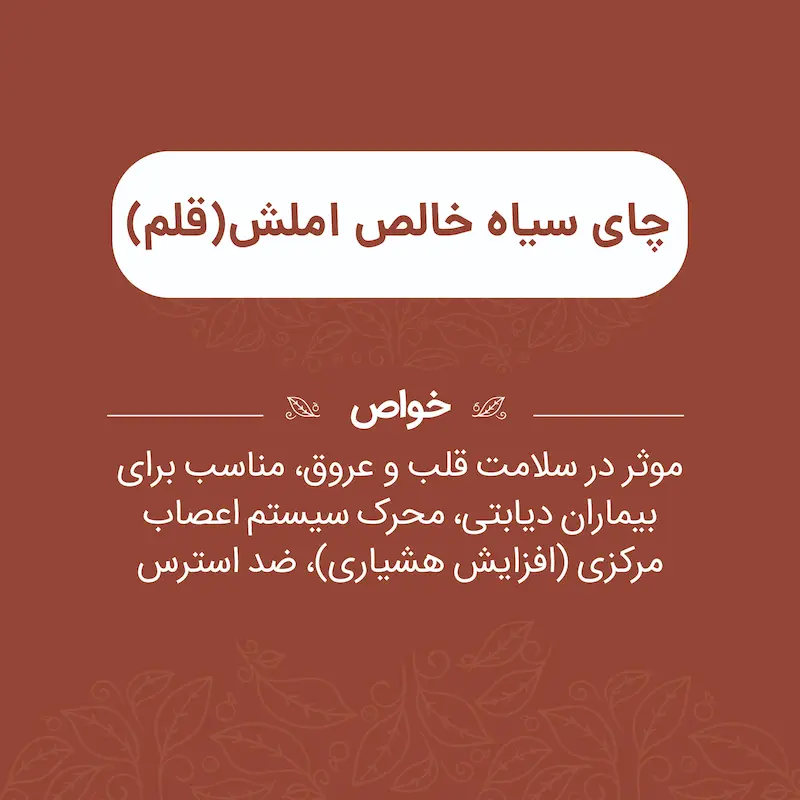 خرید چای سیاه خالص املش قلم ایرانی طبیعی برای افزایش انرژی،فواید چای سیاه املش قلم ایرانی برای تقویت هوشیاری و تمرکز ذهن،چای سیاه خالص املش قلم ایرانی برای بهبود گردش خون و سیستم ایمنی،طرز مصرف چای سیاه املش قلم ایرانی برای نوشیدنی روزانه و سلامتی،خرید اینترنتی چای سیاه خالص املش قلم ایرانی با طعم سنتی،خواص چای سیاه خالص املش قلم ایرانی برای انرژی، نشاط و سبک زندگی سالم،دمنوش چای سیاه املش قلم ایرانی برای نوشیدنی خوش‌طعم و طبیعی