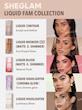 برنزر مایع مات شیگلم مدل Sun Beam Matte Liquid Bronzer