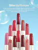 لیپ پلامپر (برق لب حجم‌دهنده) شیگلم مدل Pout-Perfect Shine Lip Plumper