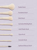 ست براش حرفه‌ای شیگلم مدل Pro Core Brush Kit