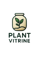 خرید تراریوم شیشه‌ای و کاکتوسی | ارسال فوری در تهران
