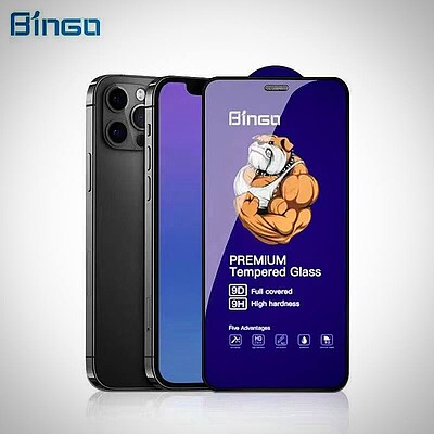 گلس و محافظ صفحه نمایش اپل آیفون iPhone 11 Pro Max 