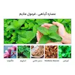 محلول سفید کننده لانبنا