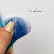 ست براش حرفه ای - سوییت بیوتی