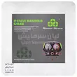 گیج دو قلو آنالوگ سوپر استارز مدل ST-B268-R22