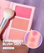 پلت رژگونه sweet cheeks شیگلم