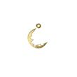 پلاک طلا 18 عیار مدل گل و ماه کد kc18269
