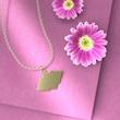 گردنبند طلا 18 عیار زنانه مدوپد مدل قاب کد P1344