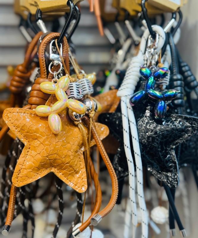 چارم ستاره و سگ بادبادكي